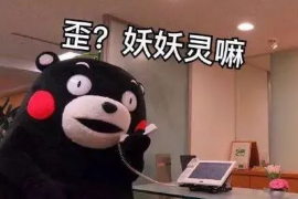 凌海专业讨债公司有哪些核心服务？